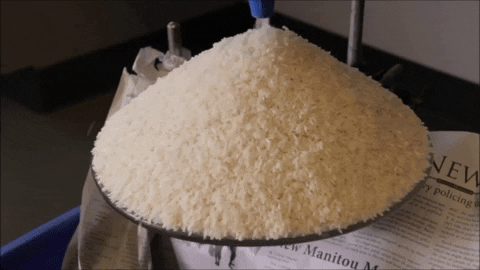 (Video sourced and edited from Andrew Hoffmann.)